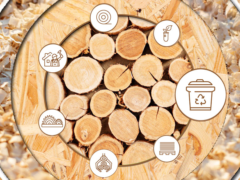 Externer Link zum YouTube-Video  Kaskadennutzung von Holz: Kaskade 6: "Altholz Sammlung, Sortierung und Aufbereitung" Quelle: FNR
