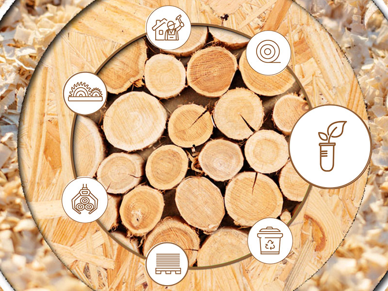 Externer Link zum YouTube-Video  Kaskadennutzung von Holz: Kaskade 5 -Innovative Holzprodukte Quelle: FNR