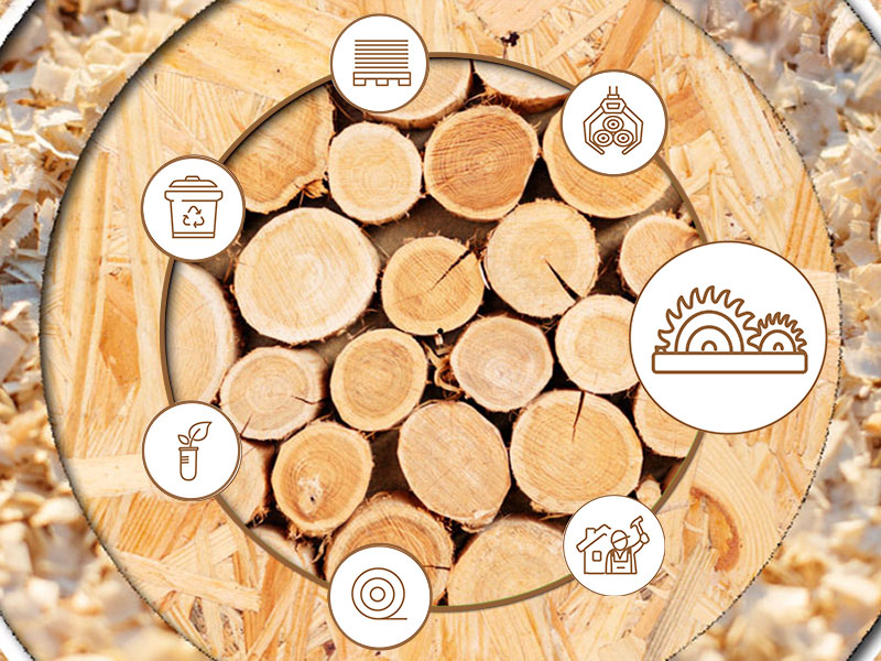 Externer Link zum YouTube-Video  Kaskadennutzung von Holz: Kaskade 2 "Sägeindustrie und Faserplattenherstellung" Quelle: FNR