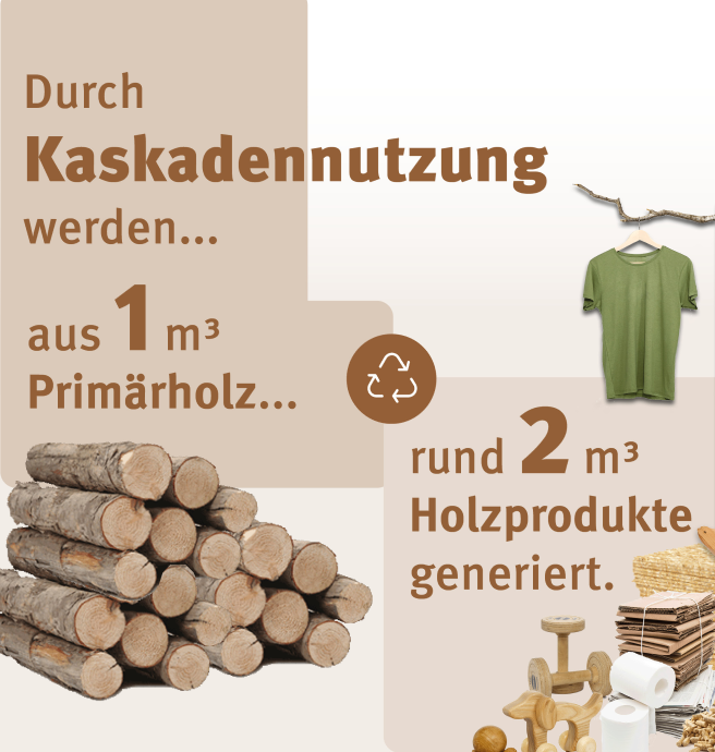 Aus eins mach zwei: So wird Holz effizient genutzt. Quelle: FNR 2023