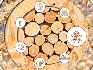 YouTube-Video zur Kaskadennutzung von Holz: Kaskade 1 "Holzernte im Wald". Quelle: FNR