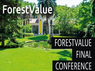 Die Abschlusskonferenz des ForestValue Netzwerkes findet im Botanischen Garten in Madrid statt. Quelle: https://forestvalue.org/final-conference/  