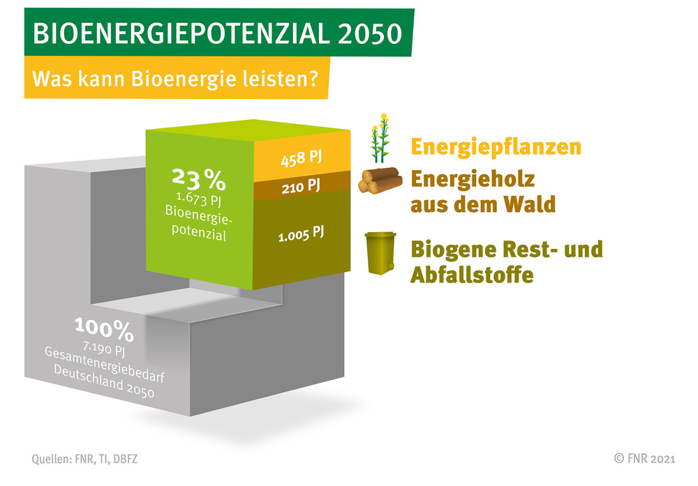 Bioenergiepotenzial 2050 - Was kann Bioenergie leisten?